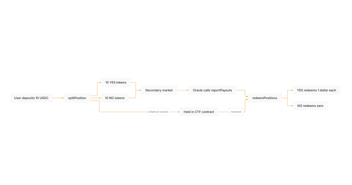 Binary outcome share lifecycle diagram