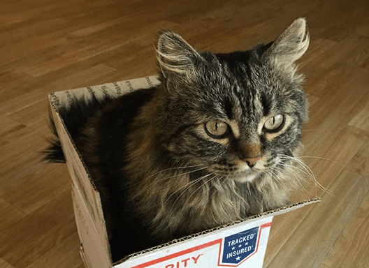 image of Molly